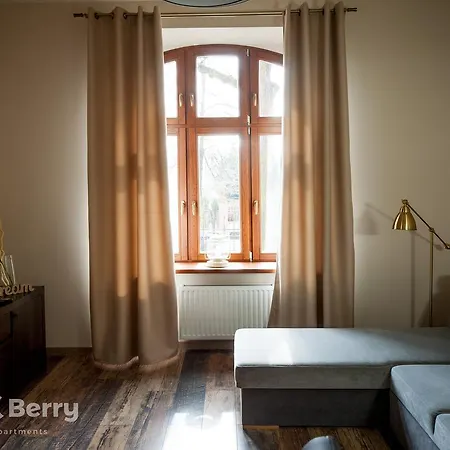 Very Berry - Orzeszkowej 16 - Mtp Apartment, Parking, Check In 24h * Poznań